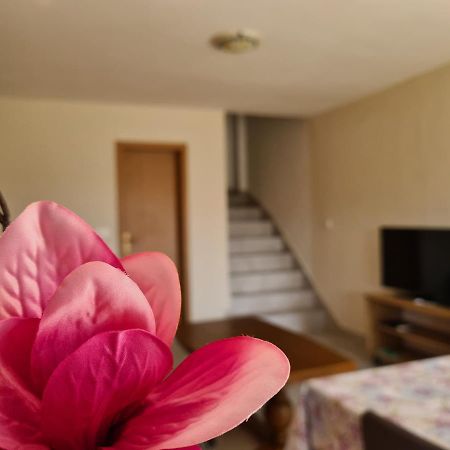 Apartman Senka Rogotin Apartment Bagian luar foto